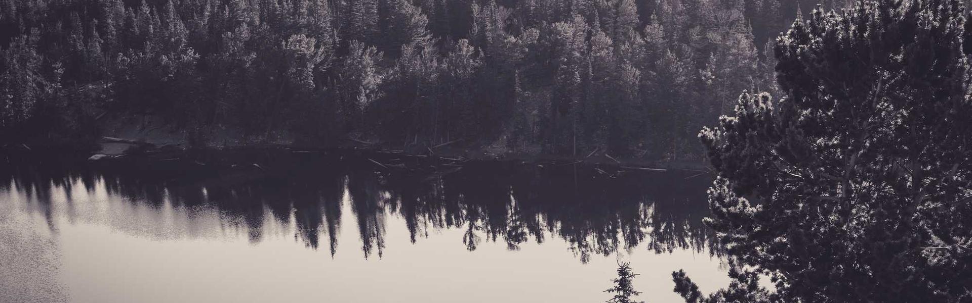 Color Psychology for Michigan Brands: Connecting with Your Audience