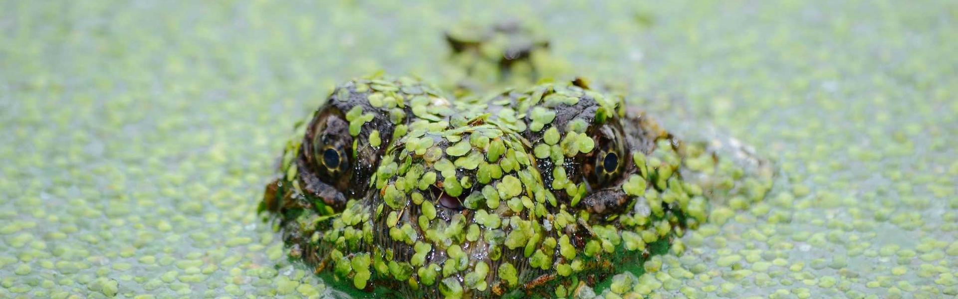 Copywriting That Converts: Examples for local Michigan businesses