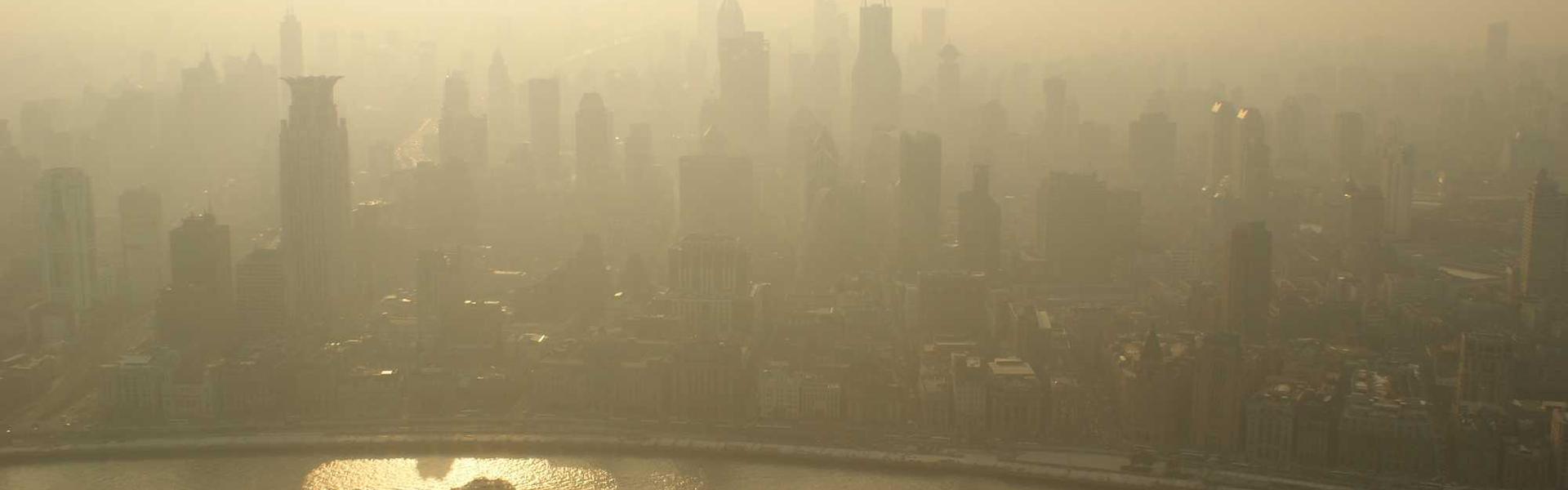 create Compelling Case Studies: A Michigan Business Guide