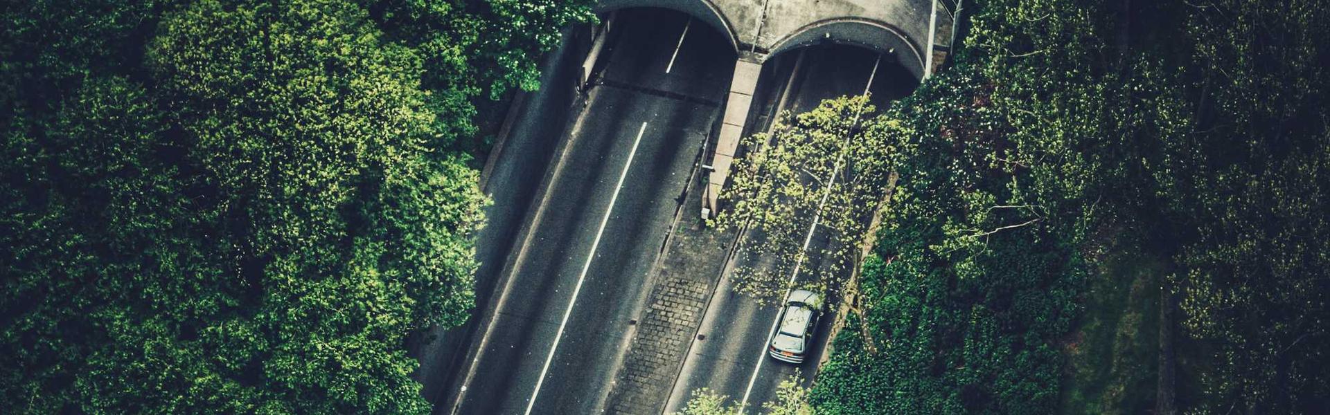 Designing for Short Attention Spans: A Guide for businesses here in Michigan