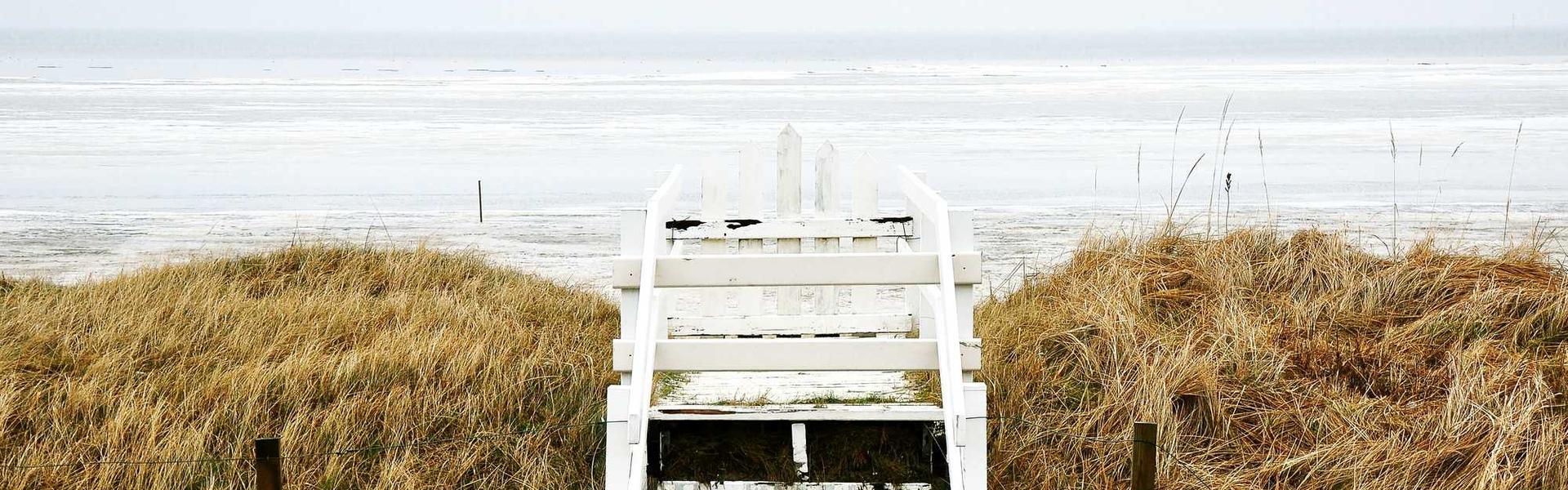 Digital Marketing Powerhouse: A Michigan Business Guide to SEO, Content & AI