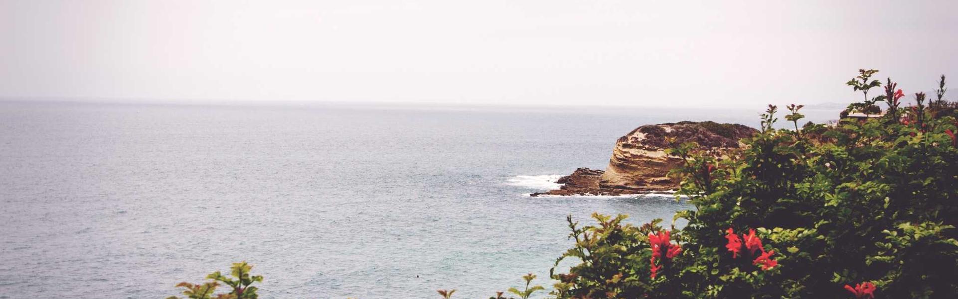 Growth Hacking for Michigan: Accelerating Your Business in Metro Detroit