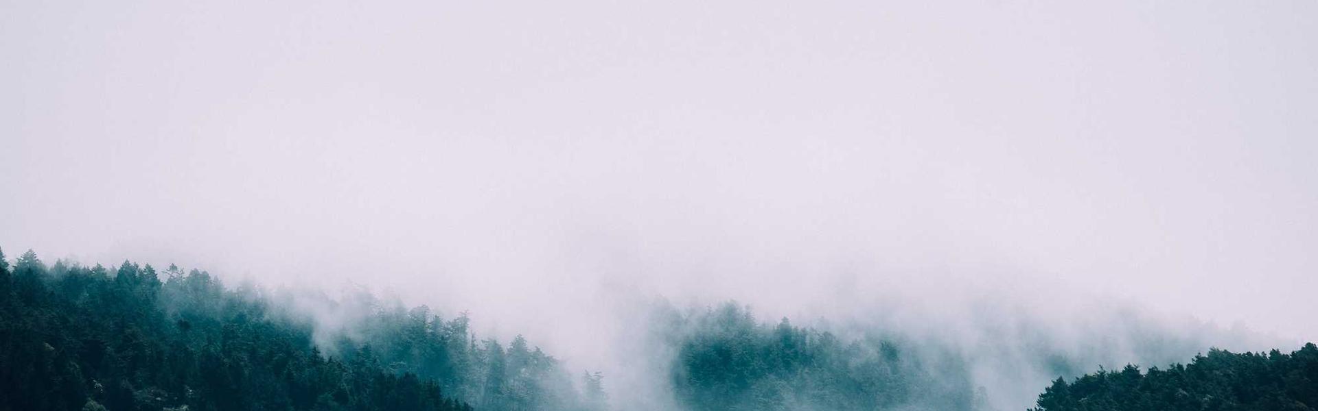 Influencer Marketing Costs: A Michigan Business Guide