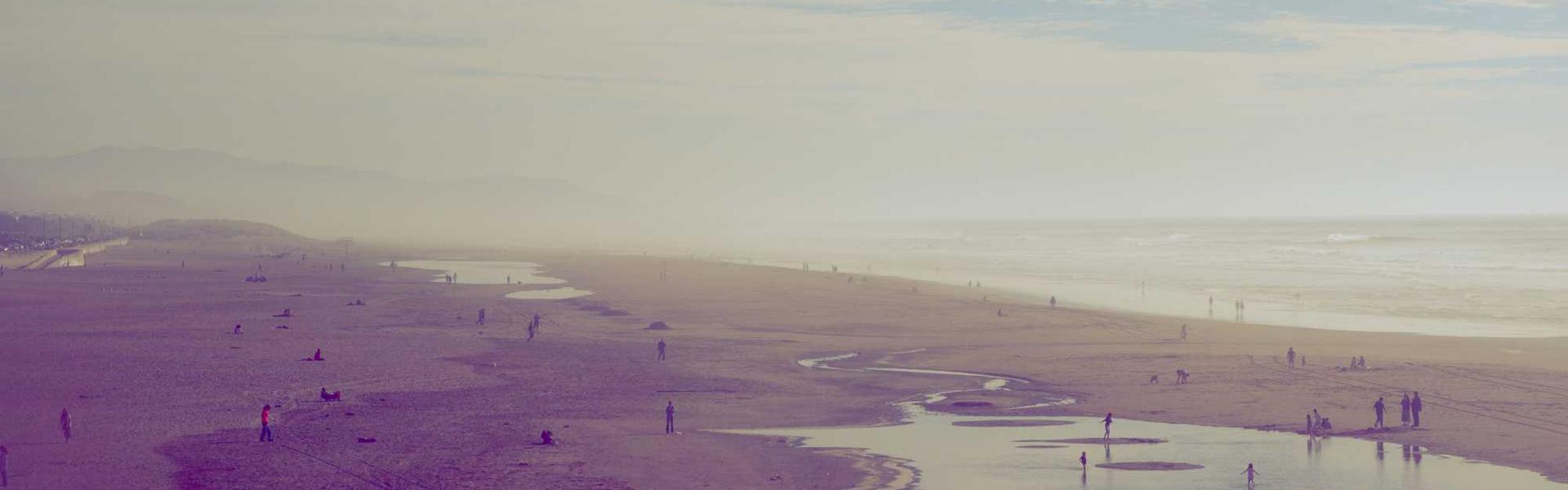 LLM Seeding for Michigan: Winning AI Mentions in Future Search