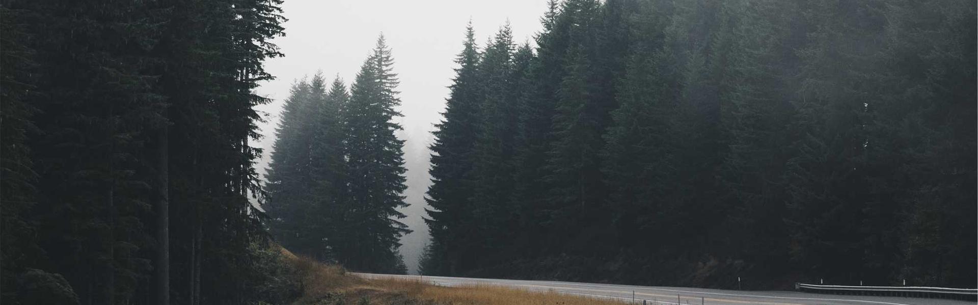 Michigan PPC: Why Dedicated Landing Pages Win