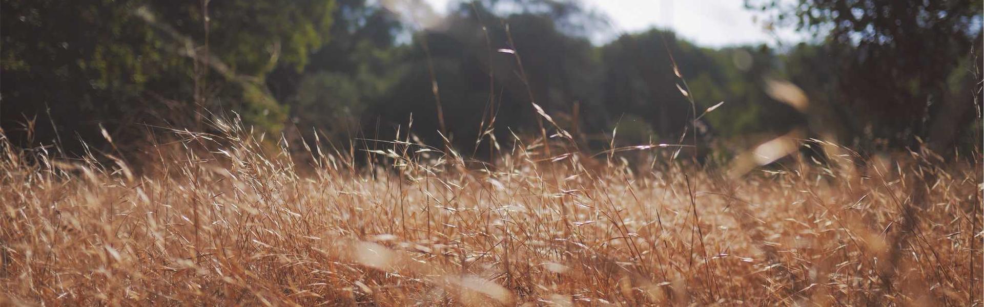 Promote Your Blog In Michigan