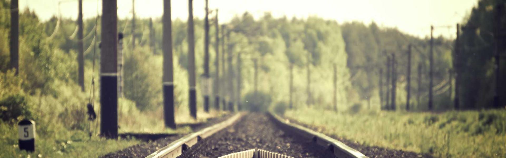 Playful dog illustration related to this article