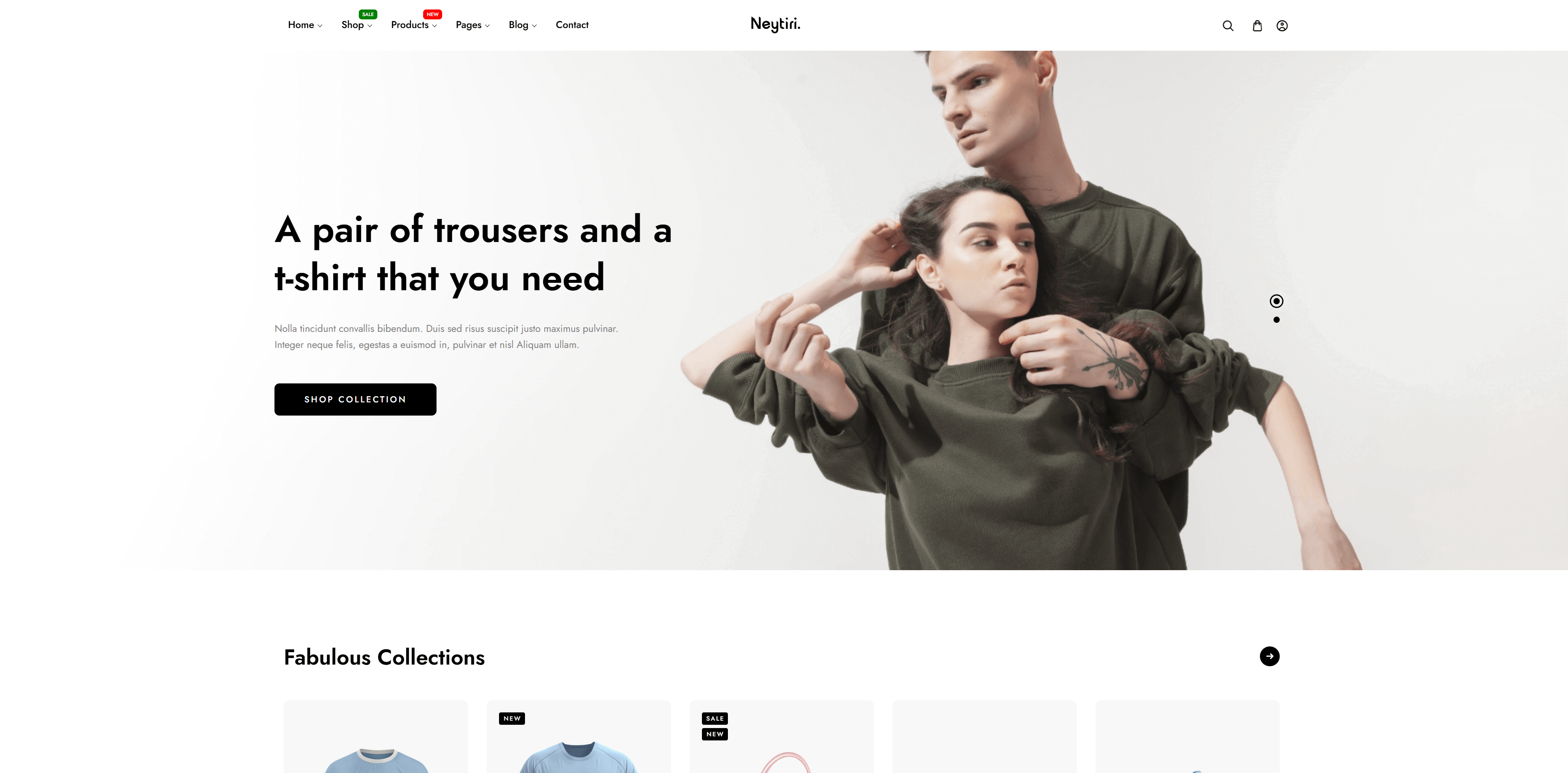 Troy retail store website design - e-commerce site with inventory management and POS integration